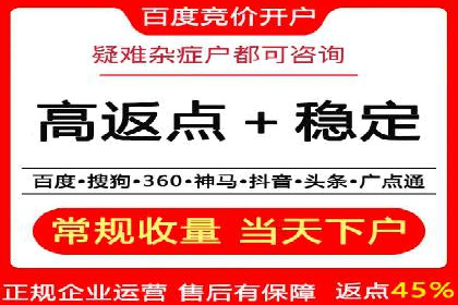 百度推广效果案例解析